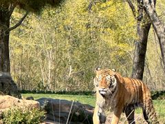 -北京野生动物园