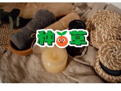 点击看大图 -芳香乐府SPA·五行芳疗
