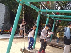 -广东茂名森林公园