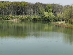 -昆山城市生态森林公园