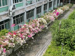 -广东中医药博物馆