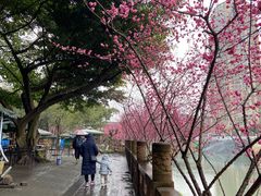 -望江楼公园