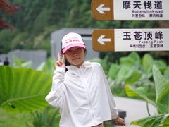 -玉苍山国家森林公园