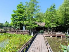 -八卦田遗址公园