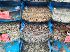 水产区-北戴河庆山饭店·海鲜砂锅粥(北戴河黑石路店)