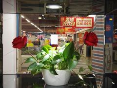 -百安居装修建材卖场(罗湖店)