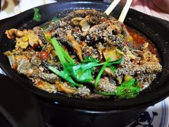 砂锅羊肚-砂锅店