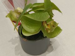 -新雅粤菜馆(南京东路店)