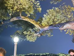 -西湖游船