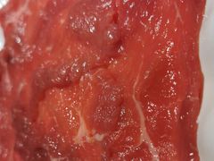 -二荆条·蜀鲜汇城市森林火锅