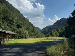-东天目山风景区