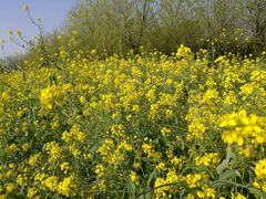 -艾溪湖湿地公园