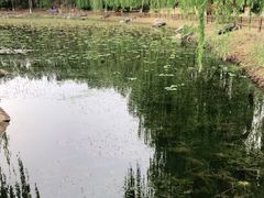 -东升八家郊野公园