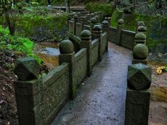 -芦芽山旅游度假区