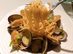 -Oasis Bar & Grill