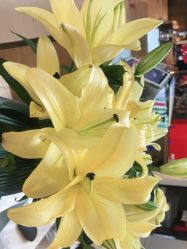 -FineYoga梵音瑜伽·普拉提