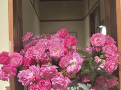 -西山人家·二十年老字号农家菜(旺山店)