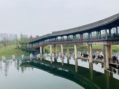 -眉山湿地公园(东坡区)