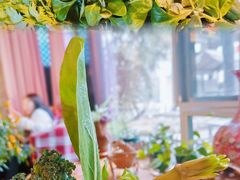 -慢丽江·云南野生菌土鸡锅(付家庄店)