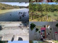 -广州白江湖森林公园