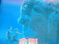-武商摩尔影城(国广IMAX激光店)