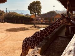 -杭州野生动物世界