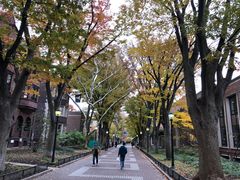 -宾夕法尼亚大学沃顿商学院