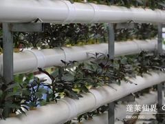-贵阳蓬莱仙界