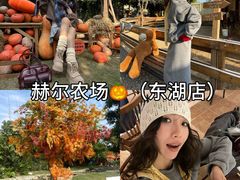 -HERRE·FARM 赫尔露营农场·团建聚会包场