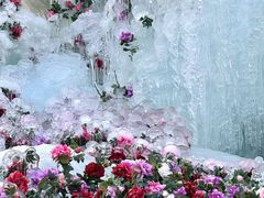 -洛阳白云山景区