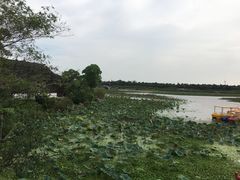 -上海海湾国家森林公园