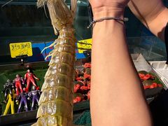 -辉记炭烧海鲜大排档·老字号(福田店)