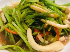 -金锅小厨(乐活街店)