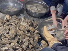 -花苑美食横琴生蚝火锅(拱北粤华路店)