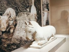 -宁夏博物馆