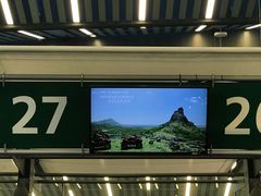 -西沃古尔·拉姆古兰爵士国际机场