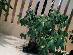 -北京中医药大学第三附属医院