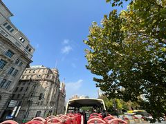 -BUS TOUR观光巴士