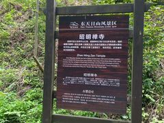 -东天目山风景区