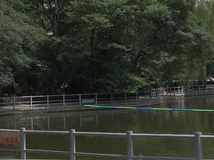 -莲湖公园