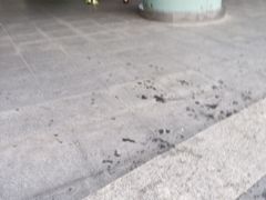 -鹏欣水游城