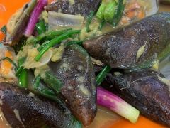 姜蒜炒青口-贞姨美食·老字号海鲜大排档