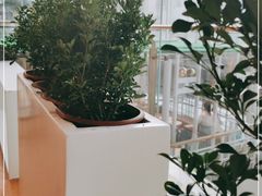 -奈雪的茶(苏宁广场店)
