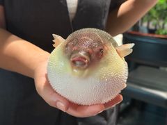 -永安鱼庄·镇江菜(东吴路店)