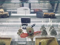 -野人先生现做冰淇淋(西安赛格店)