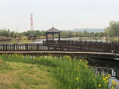 -羊亭河湿地公园