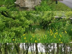 -西湖风景区-江洋畈生态公园