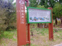 -东郊湿地公园