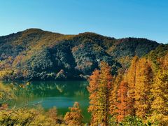 -四明山国家森林公园