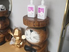 -飞行喵MR PILOT|猫舍·猫咖(静安大融城店)